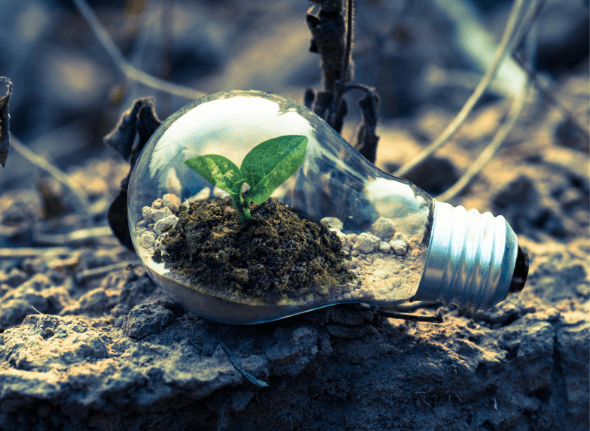 A green shoot in soil, contained within a lightbulb lying on the ground.