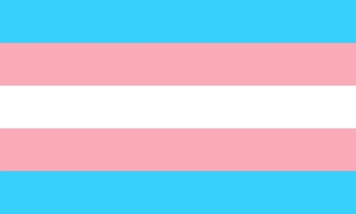 an image of the transgender flag