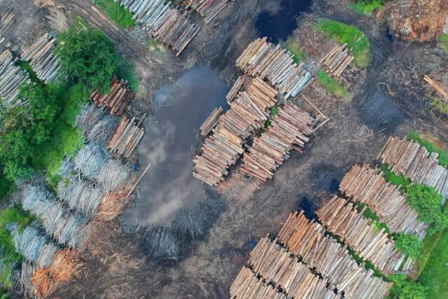 an aerial image of a forest with logs chopped down and stacked