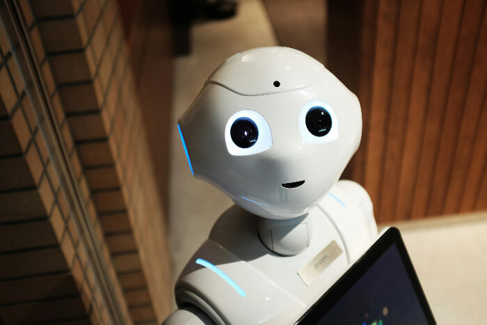 photo of robot looking at the camera.